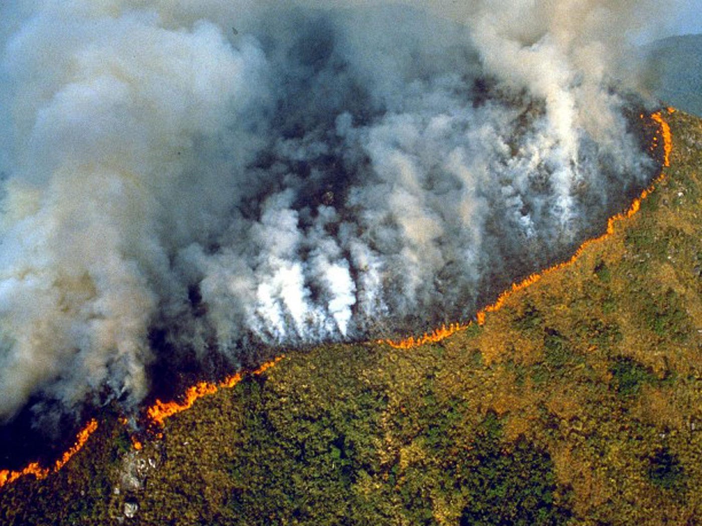 A continent ablaze: South America surpasses record for fires